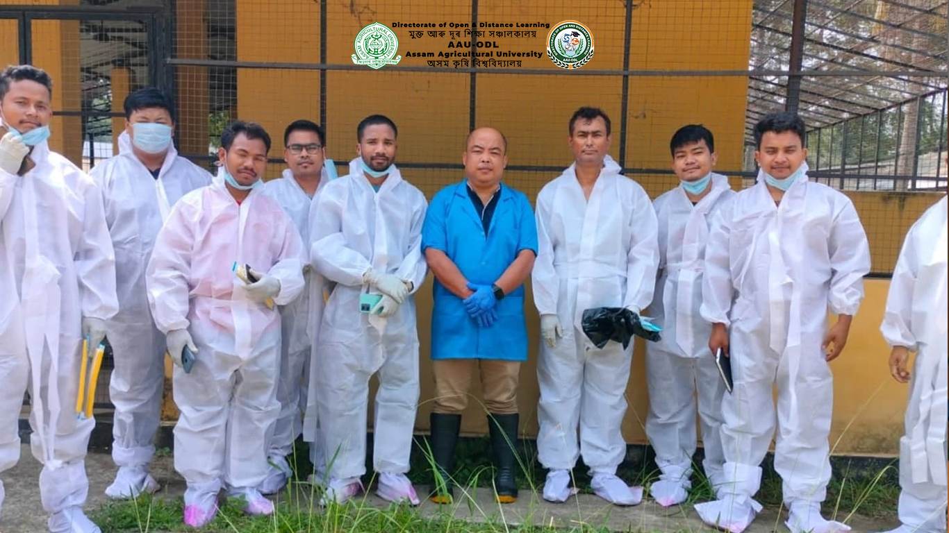 Hands-On Training - Practical Skills for Real-World Success