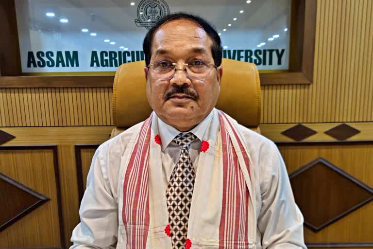 Hon'ble Vice Chancellor